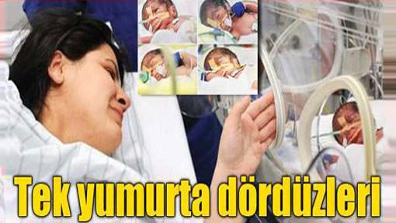 Tek yumurtadan dördüz doğurdu