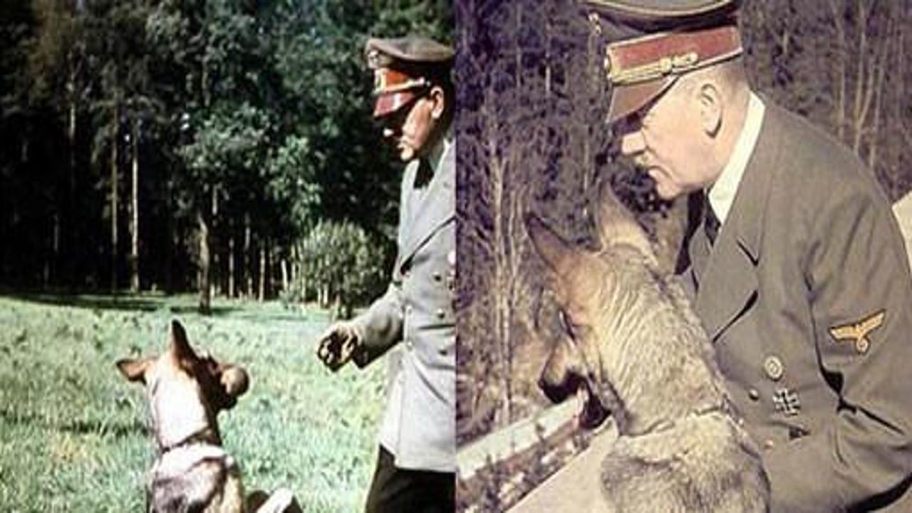 Hitler'in silahı konuşan köpekleri