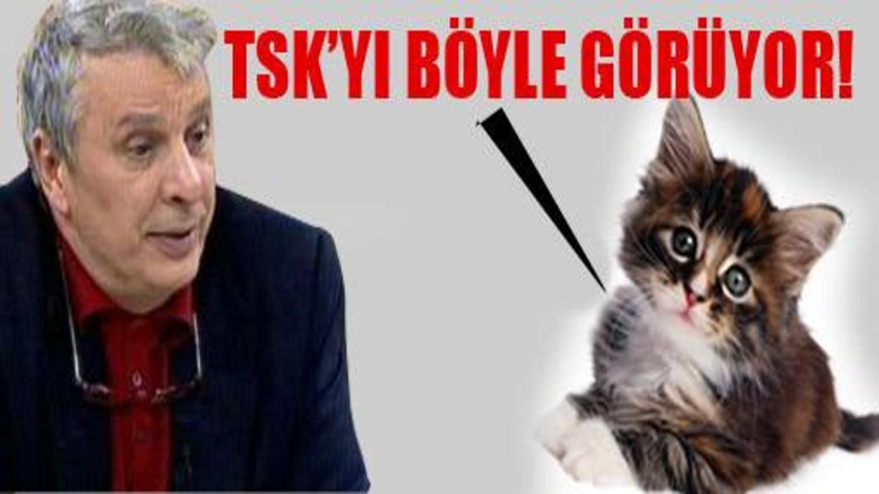 TSK, köşeye sıkışmış kediye benziyor!