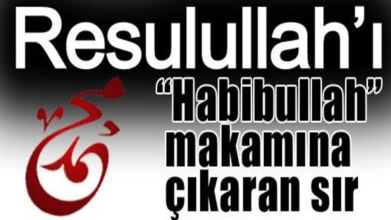 Resullulahı 'Habibullah' makamına çıkaran sır