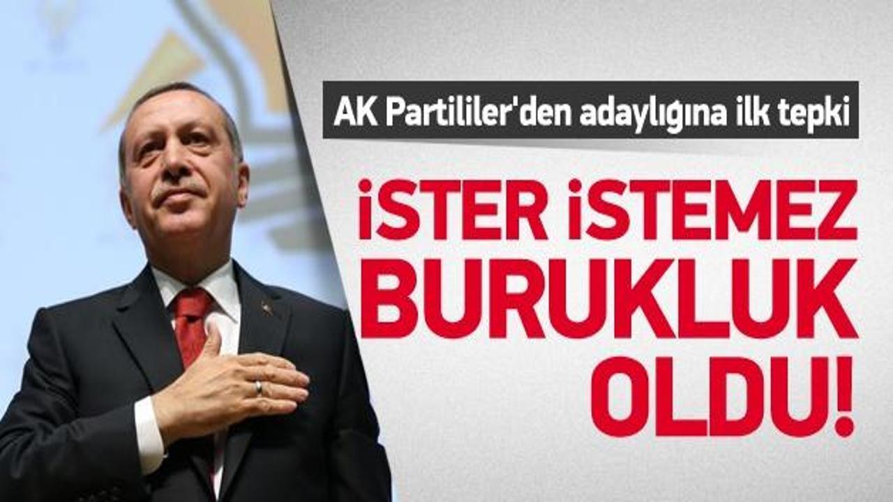 AK Partililer'den Erdoğan'ın adaylığına ilk tepki