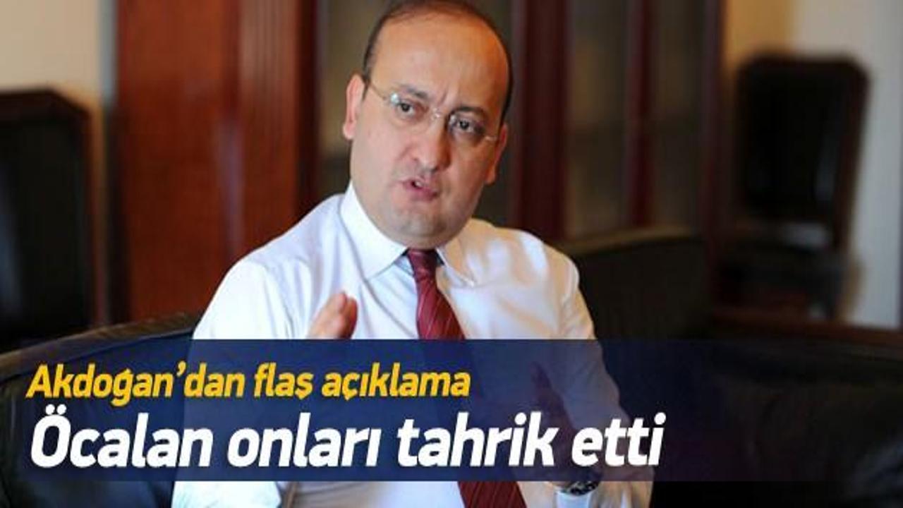 Akdoğan: Öcalan onları tahrik etti!