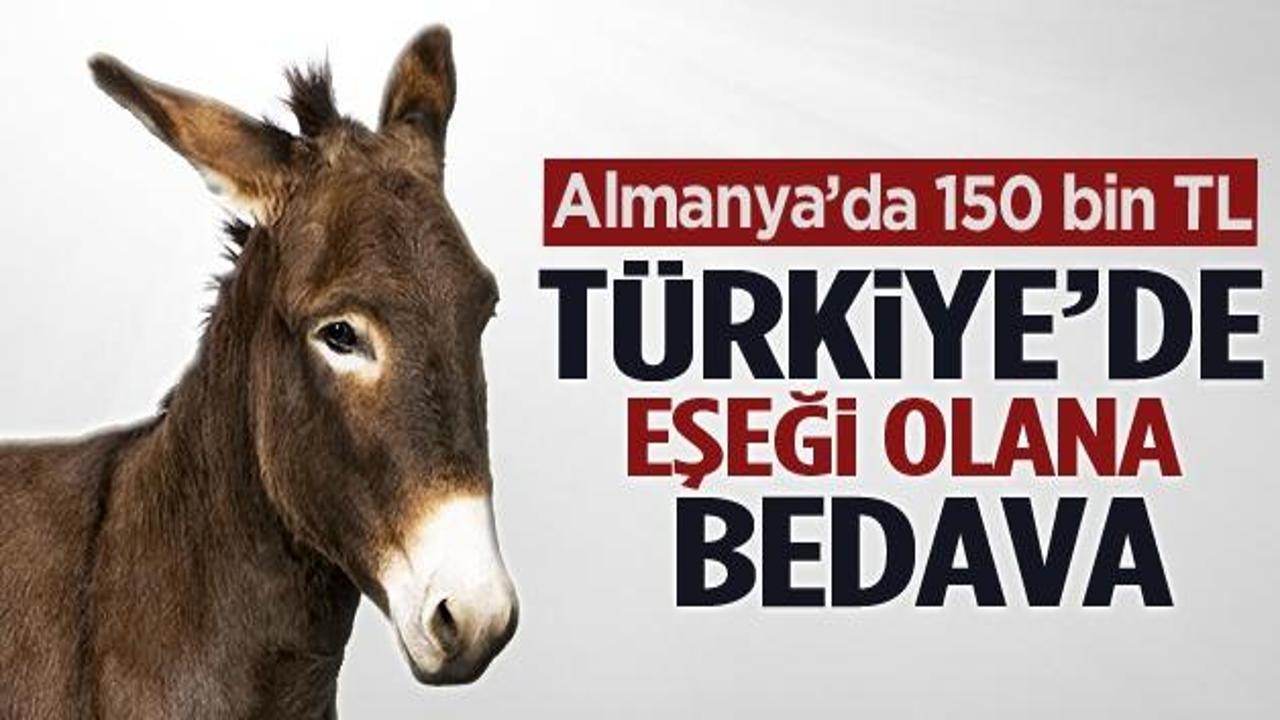 Almanya'da 150 bin lira T&uuml;rkiye'de eşeği olana bedava