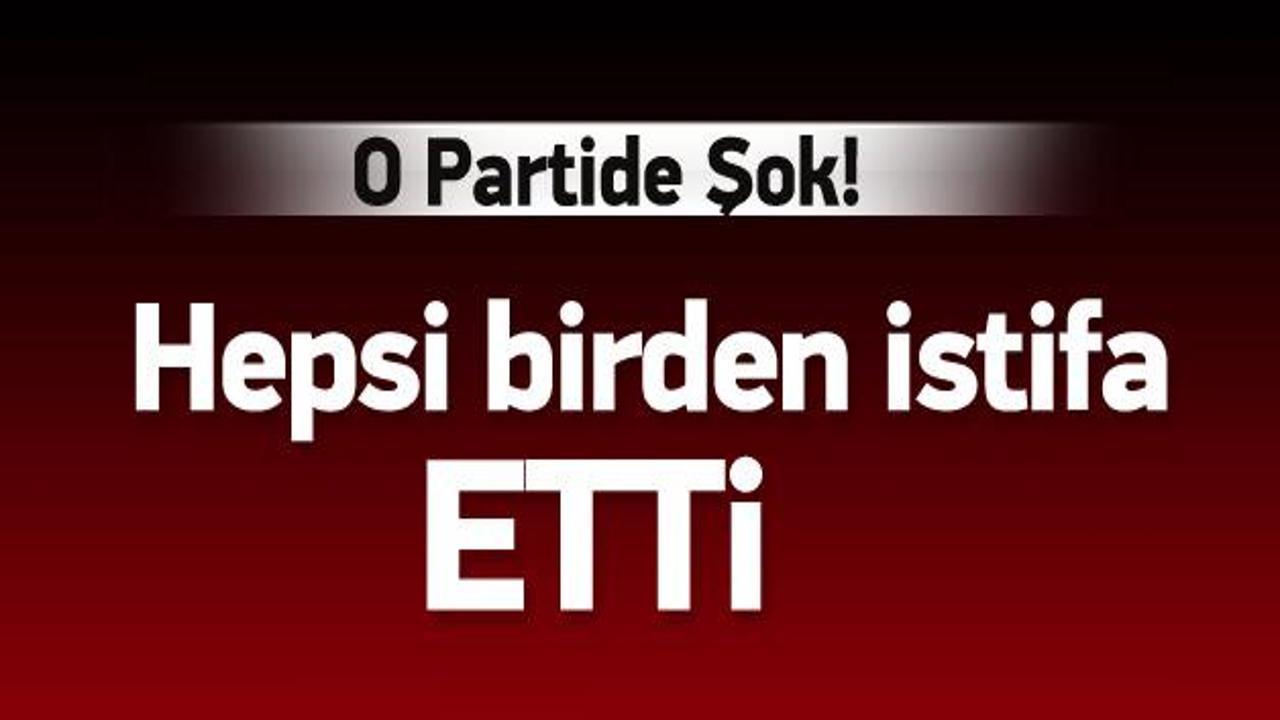 Anadolu Partisi'nde Başkanlık Divanı istifa etti