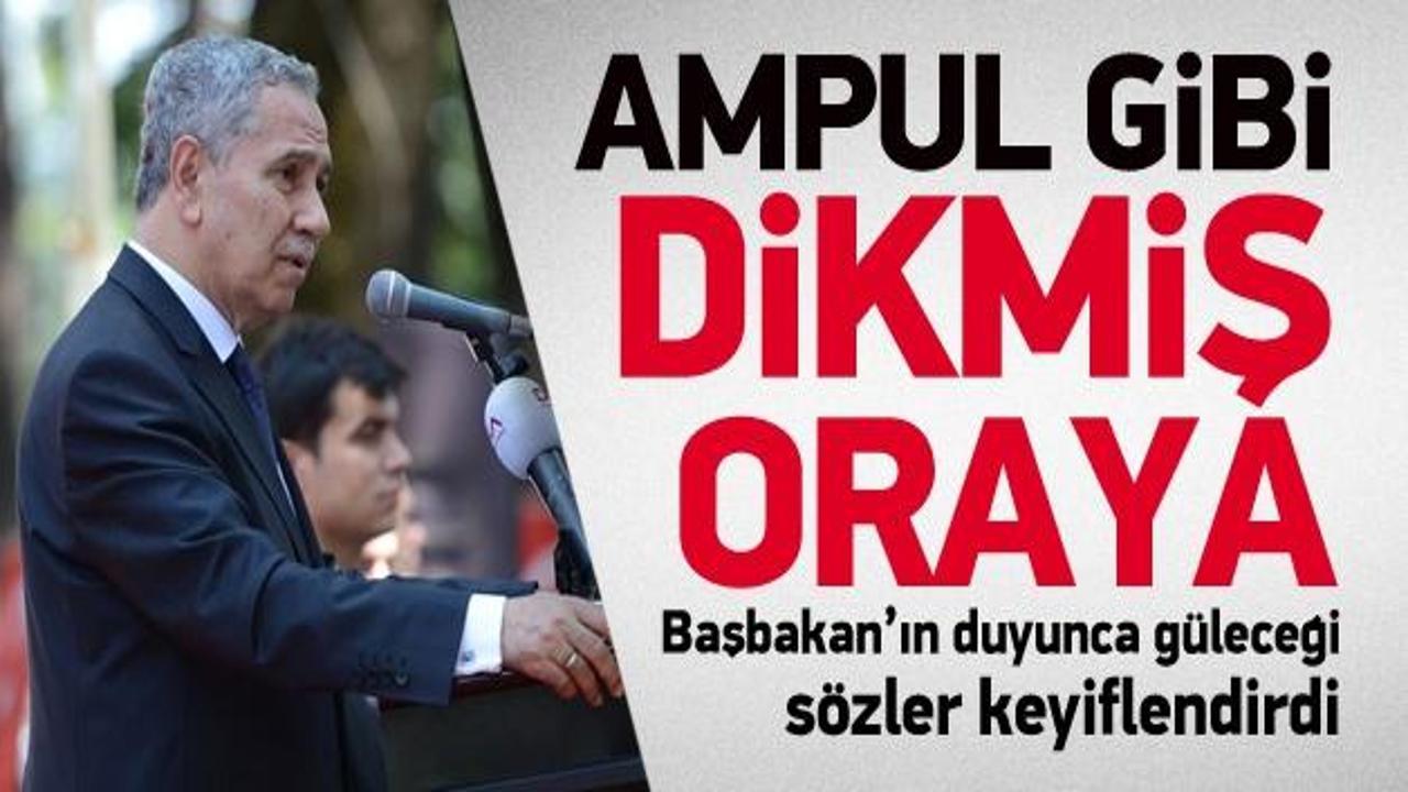 Arınç'tan Erdoğan'a: Ampul gibi dikmiş oraya!
