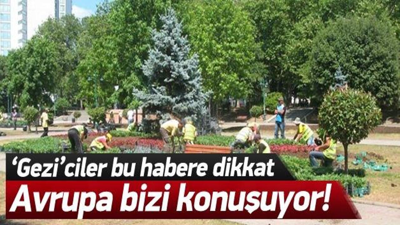 Avrupa'dan Türkiye'ye ağaçlandırma övgüsü