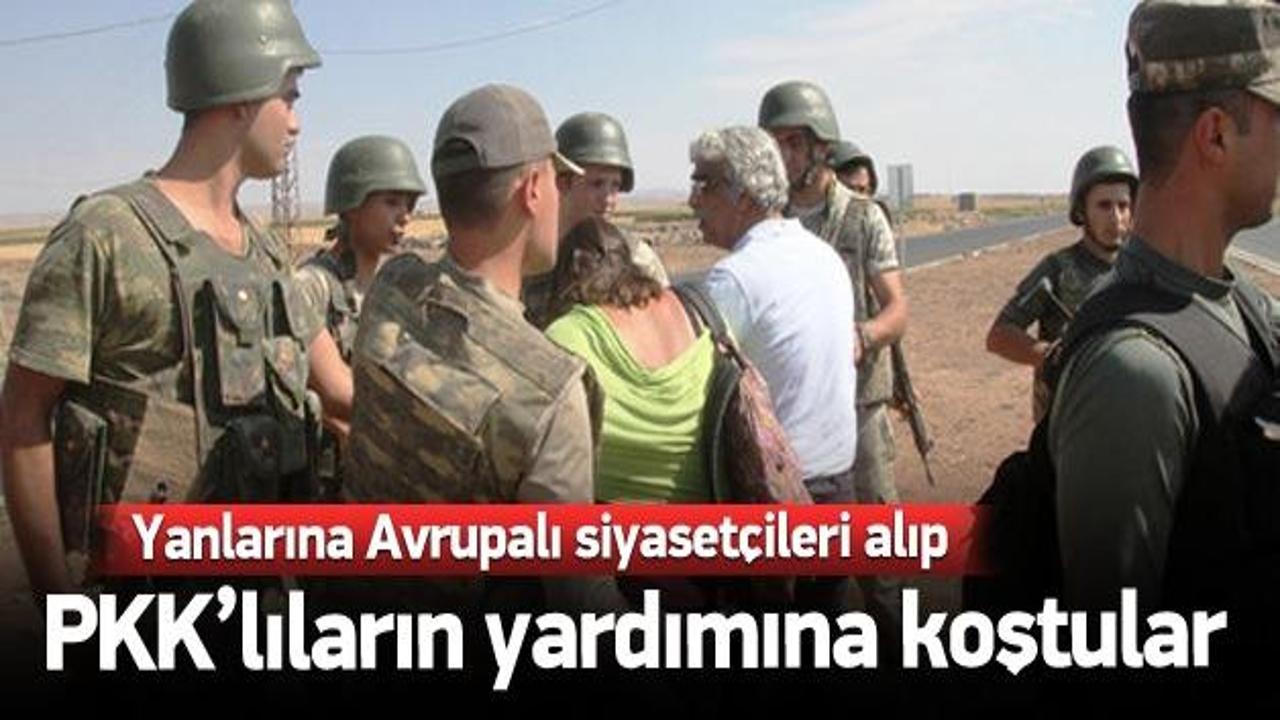 Avrupalı parlamenterler Nusaybin'e sokulmadı