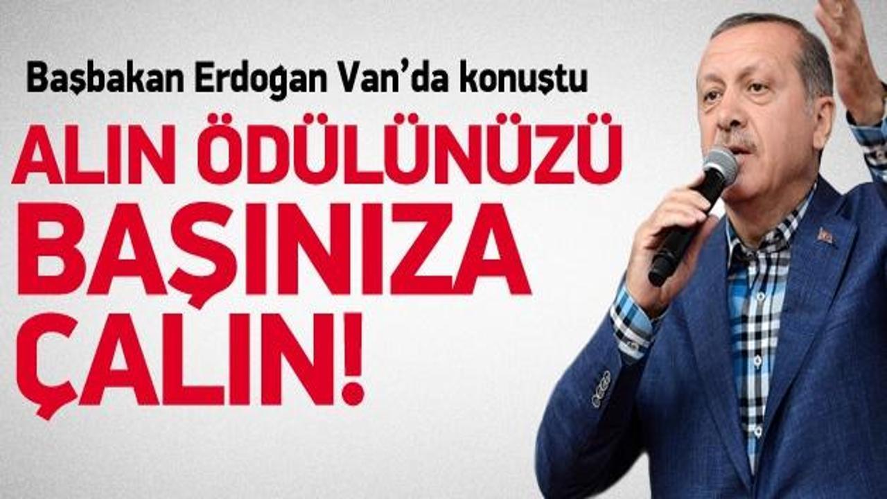 Başbakan Erdoğan: Alın ödülünüzü başınıza çalın
