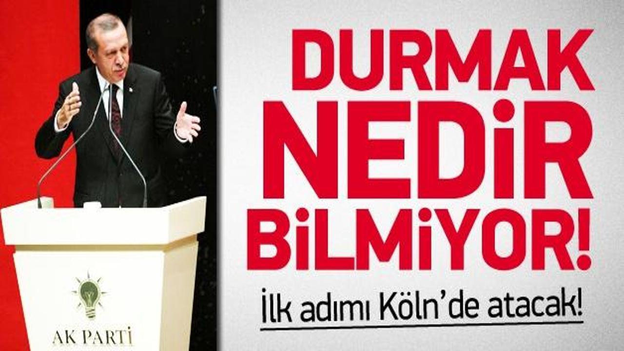 Başbakan Erdoğan dur durak bilmiyor