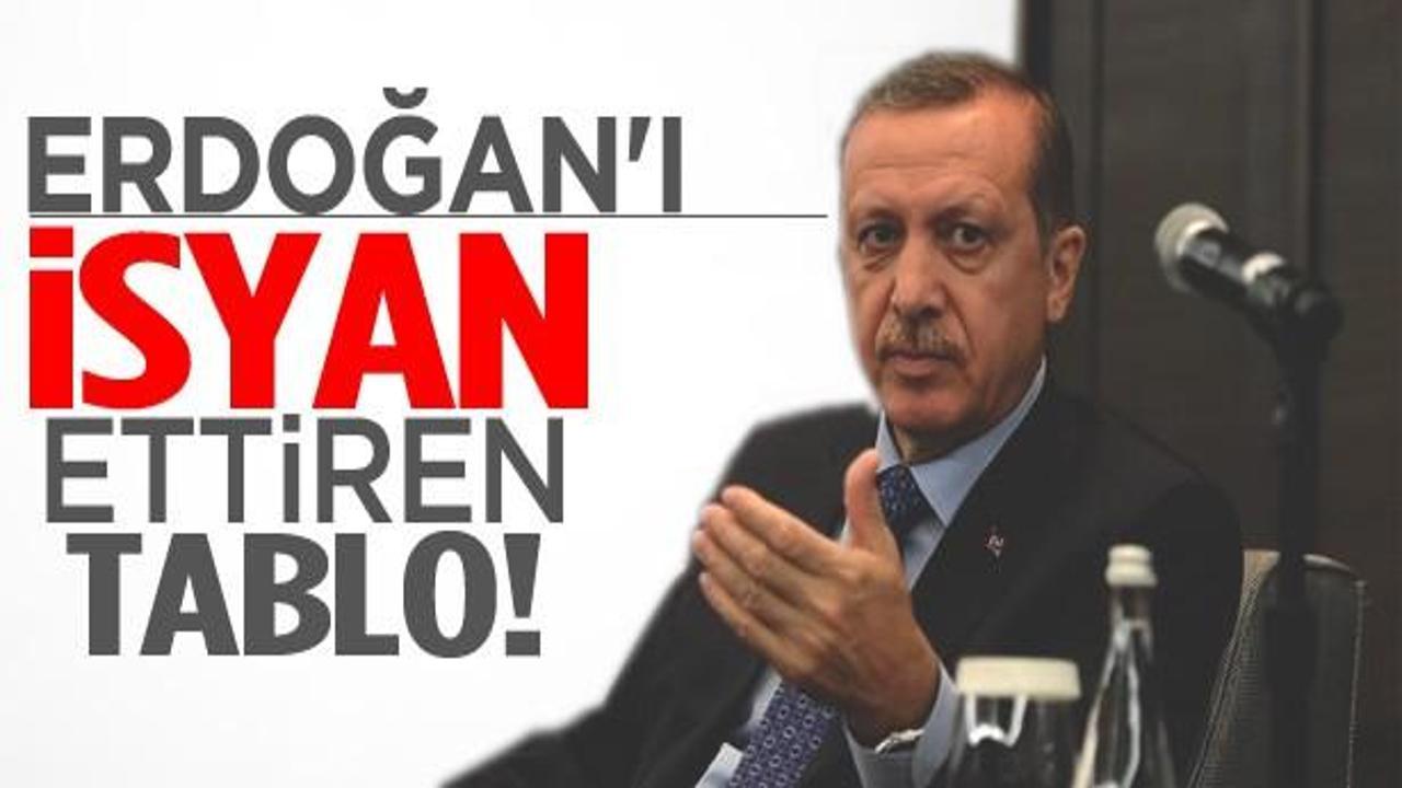 Başbakan Erdoğan'ı isyan ettiren tablonun ayrıntısı
