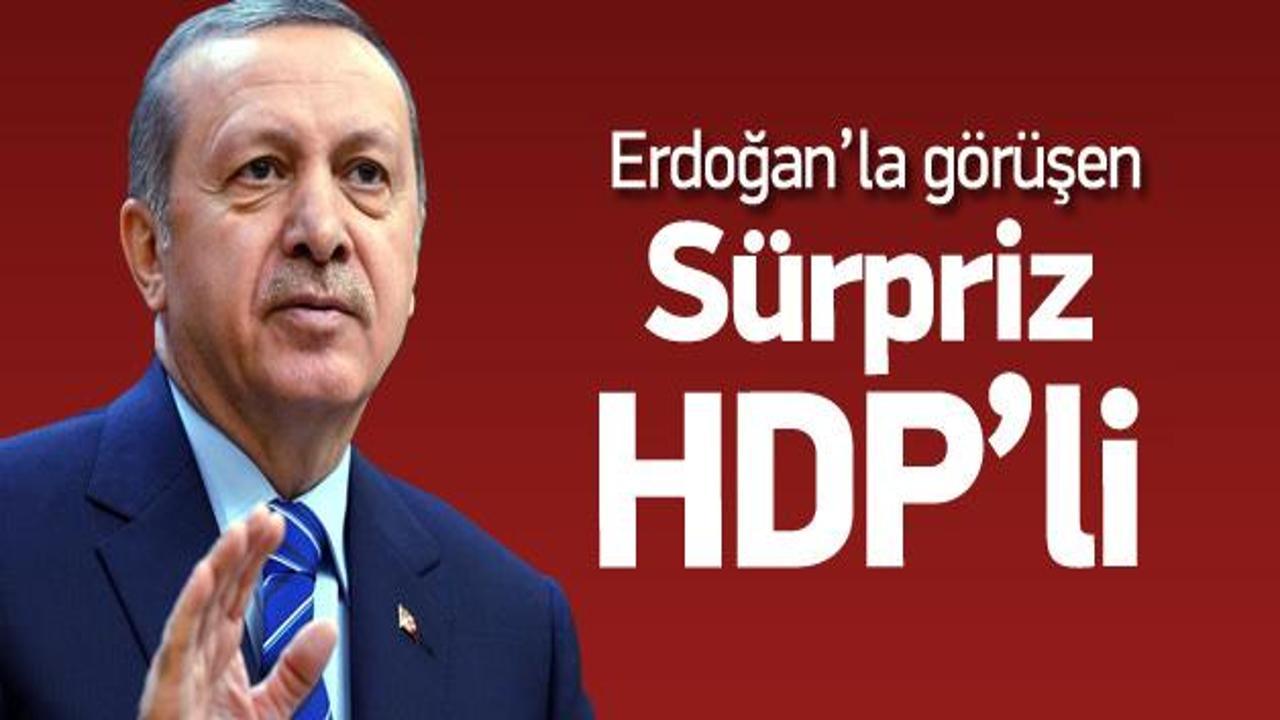 Beştepe'te Erdoğan'la görüşen sürpriz HDP'li