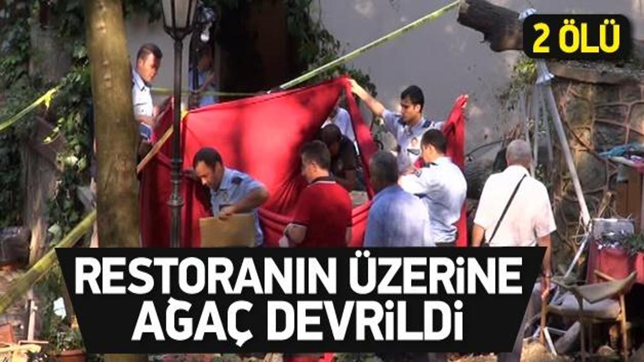 Beykoz'da ağa&ccedil; devrildi; 2 kişi &ouml;ld&uuml;