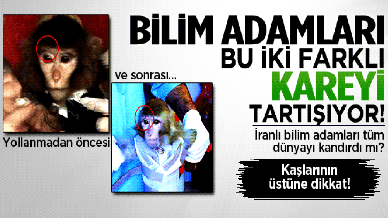 Bilim adamları bu iki kareyi tartışıyor!