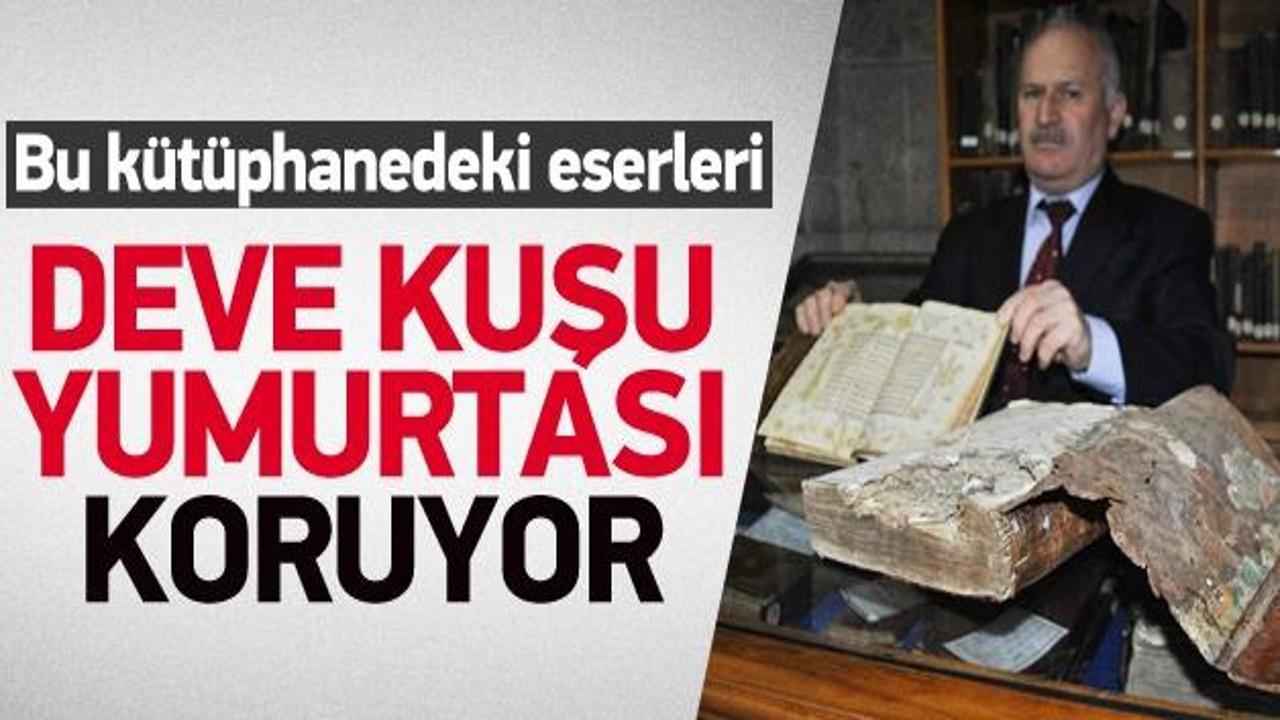 Bu k&uuml;t&uuml;phanedeki tarihi eserleri deve kuşu koruyor