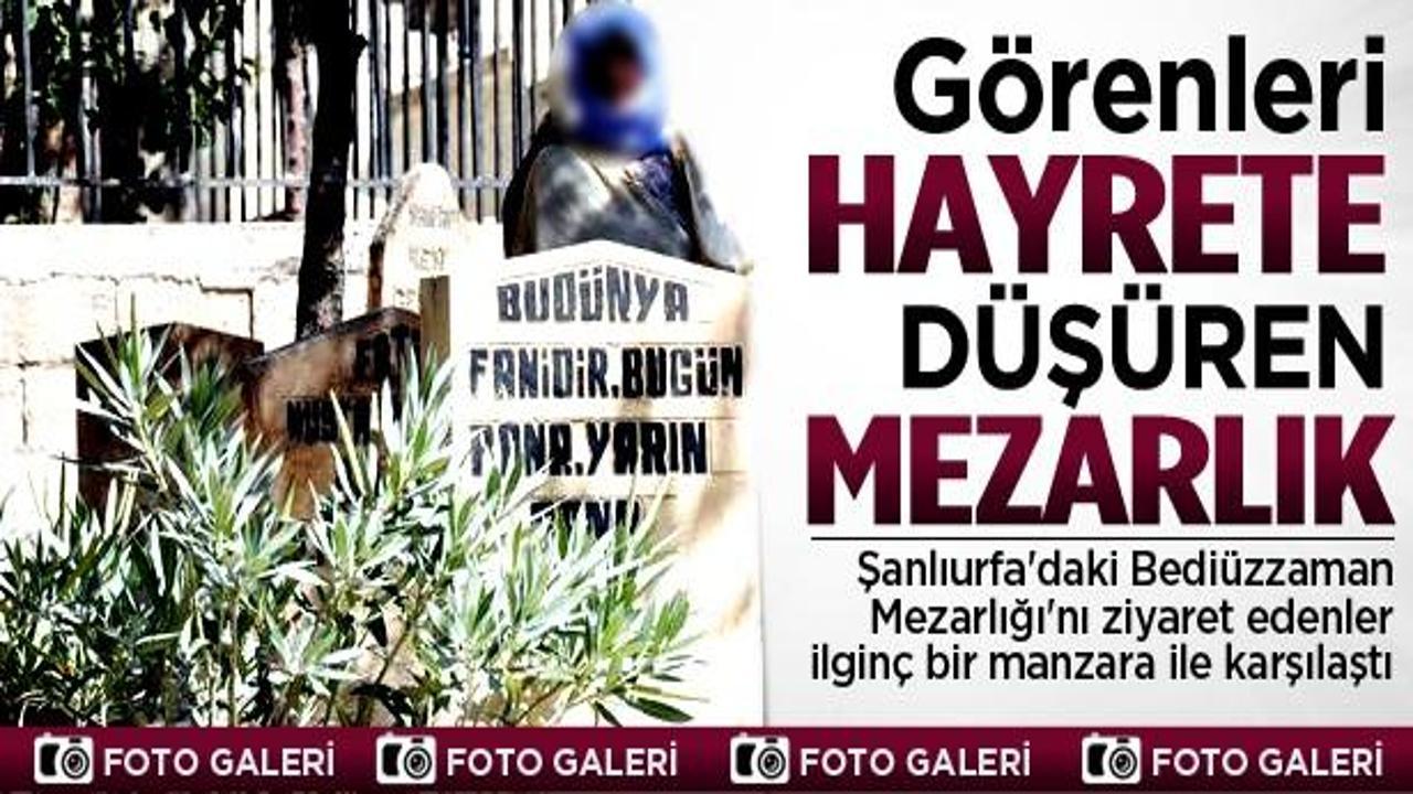 Bu mezarlık görenleri hayrete düşürüyor
