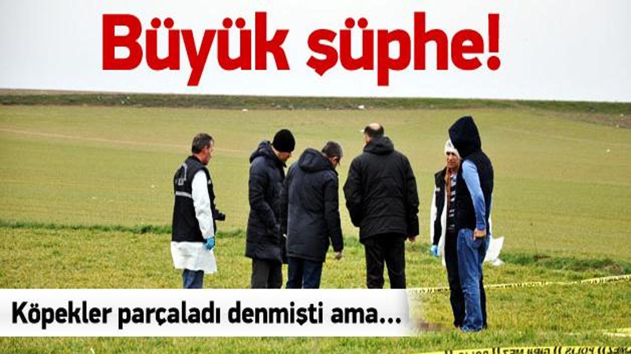 Büyük şüphe! Köpekler parçaladı denmişti ama...