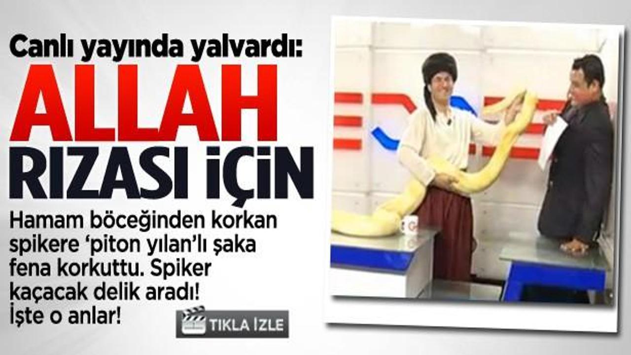 Canlı yayında 'piton yılanı' şakası terletti