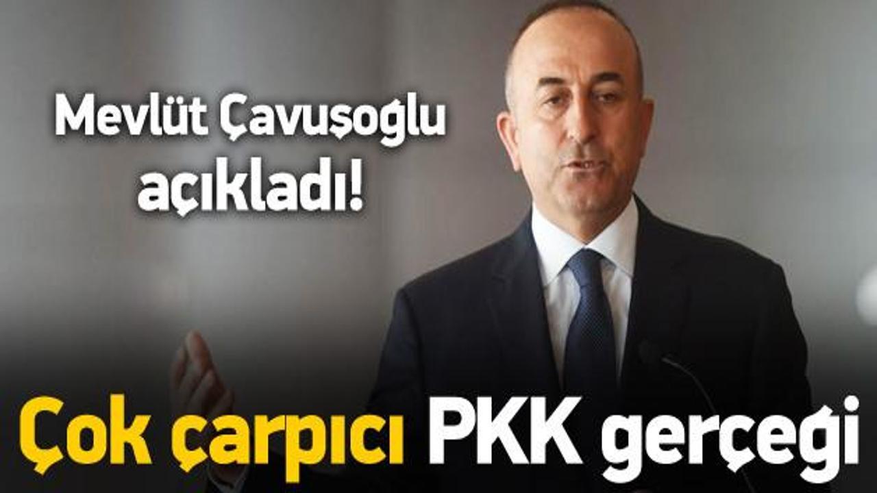 Çavuşoğlu'ndan çok çarpıcı 'PKK' açıklaması
