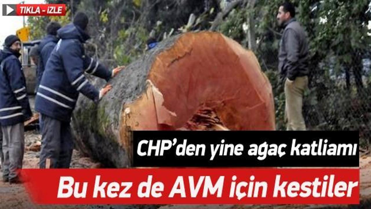 CHP Eskişehir ve Tekirdağ'da ağaç katliamı yaptı