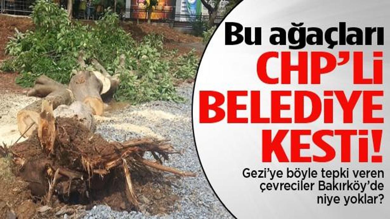 CHP'li Belediye Bakırköy'de ağaç kesti