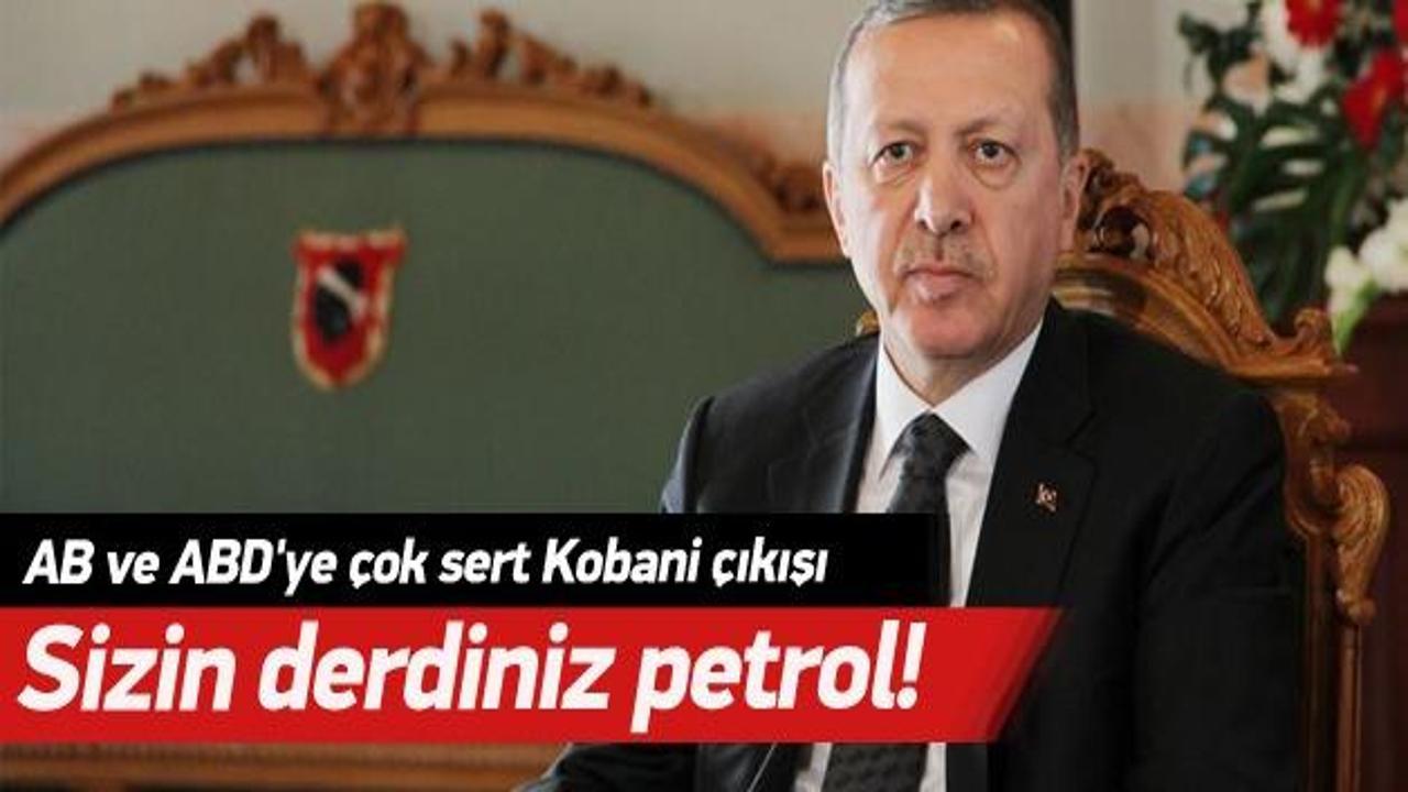Cumhurbaşkanı Erdoğan: AB ve ABD'nin derdi petrol