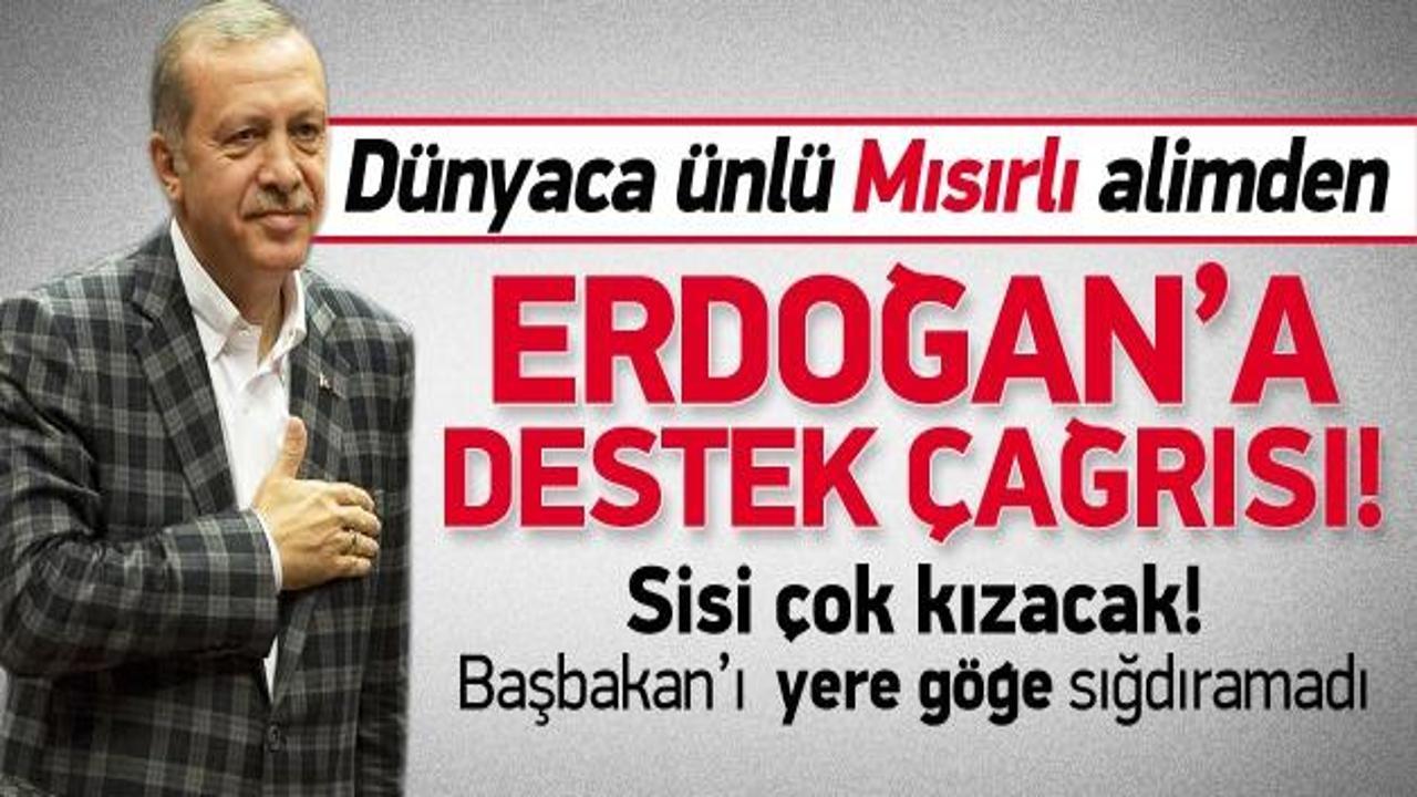 Dünyaca ünlü alimden Erdoğan'a destek çağrısı