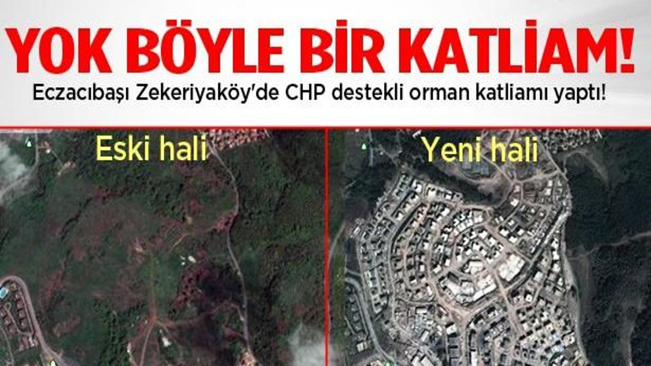 Eczacıbaşı'nın Zekeriyaköy'deki orman katliamı