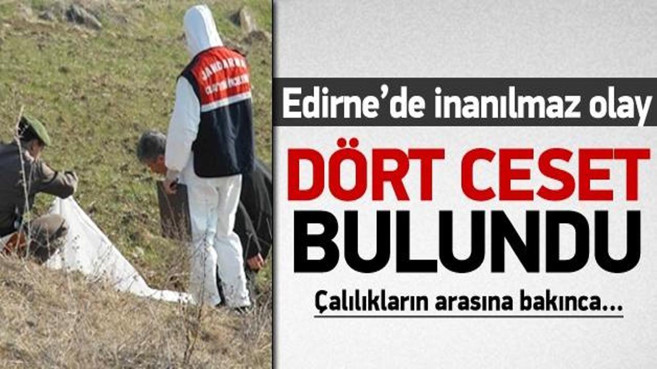 Edirne'de çalılıkların içinde 4 ceset bulundu