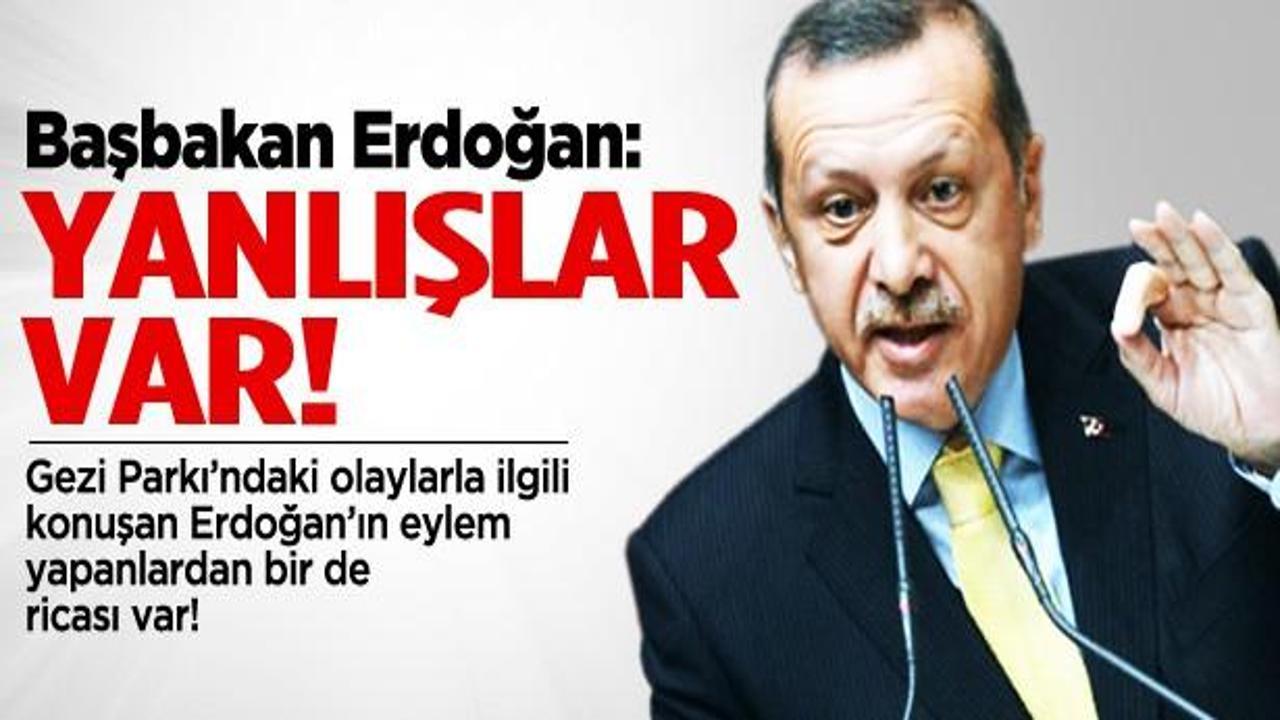Başbakan Erdoğan: Biber gazı kullanımında aşırılık var