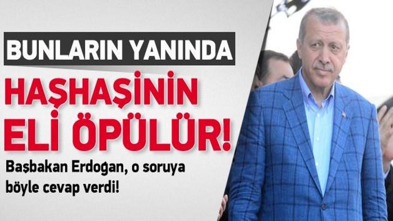 Erdoğan: Bunların yanında Haşhaşi'nin eli öpülür
