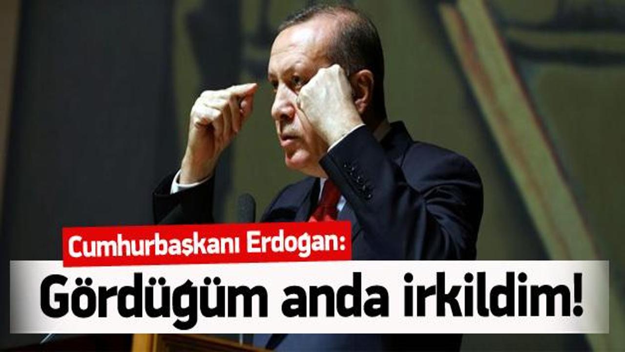 Erdoğan: Özel Güvenlik sektörü kaldırılmalı