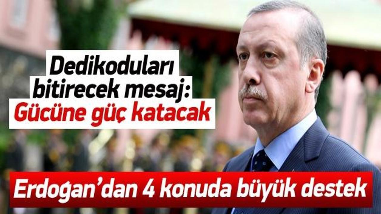 Erdoğan, hükümetin gücüne güç katacak
