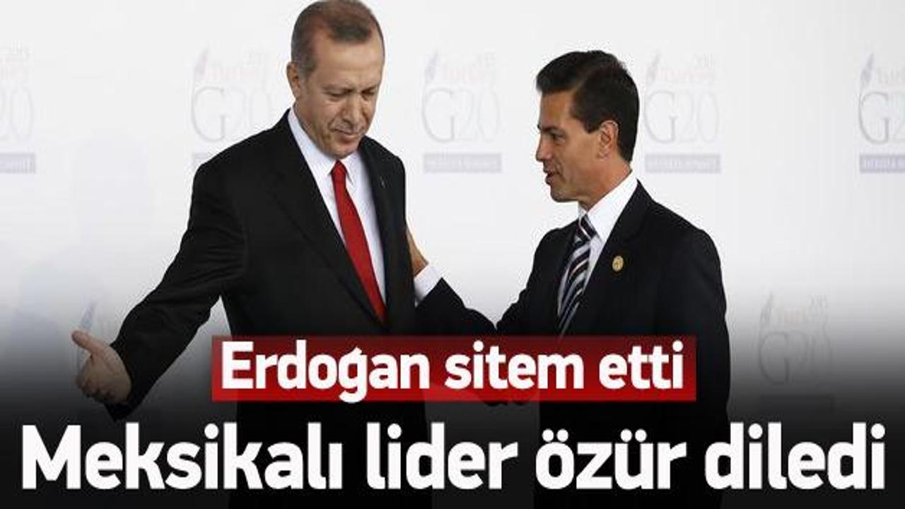 Erdoğan sitem etti, Nieto özür diledi