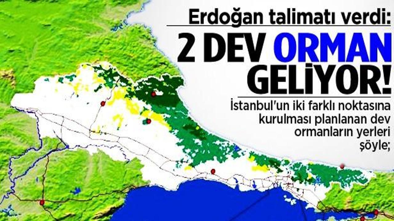 Erdoğan talimatı verdi: iki dev orman geliyor!