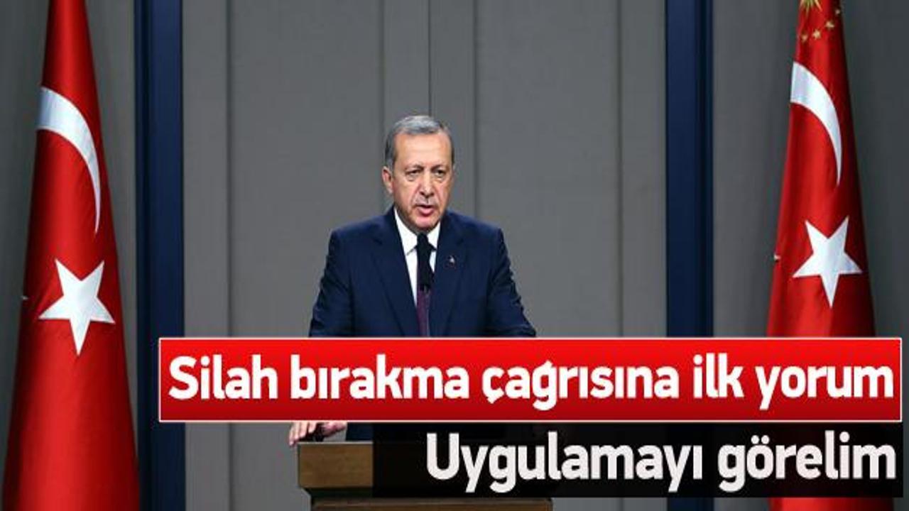 Erdoğan'dan silah bırakma çağrısına ilk tepki