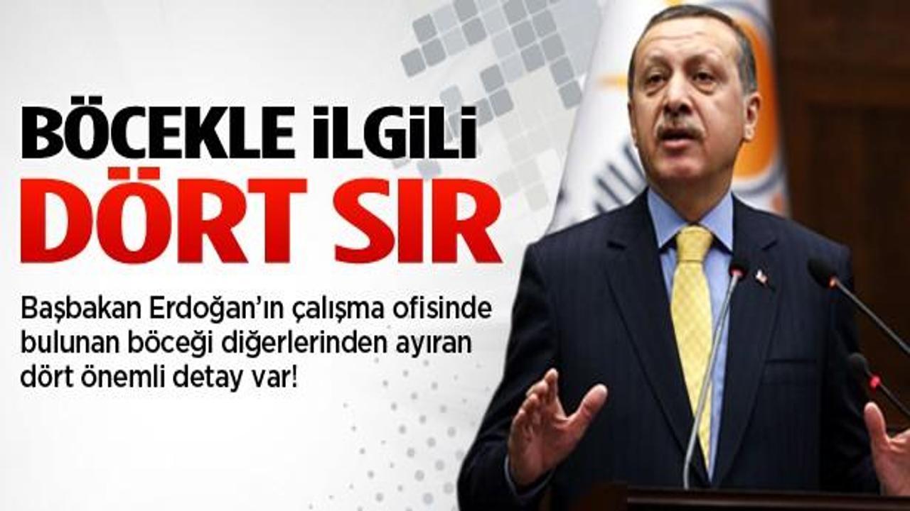 Erdoğan'ın ofisindeki böcekle ilgili 4 sır!