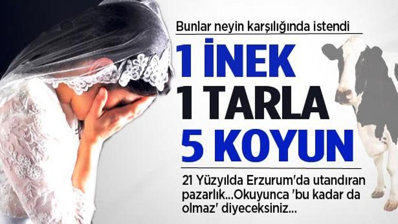Erzurum'da 'bu kadar da olmaz' dedirten olay!