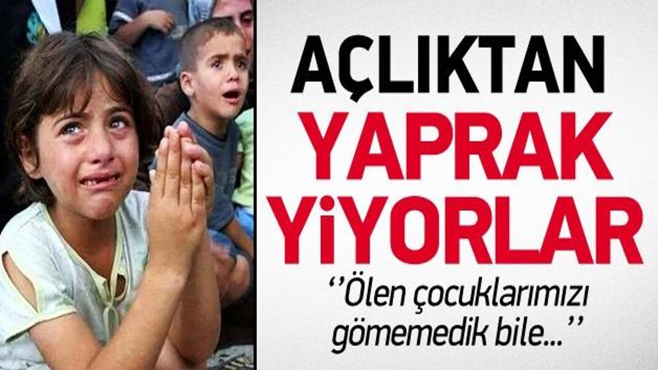 Ezidiler açlıktan yaprak yiyor