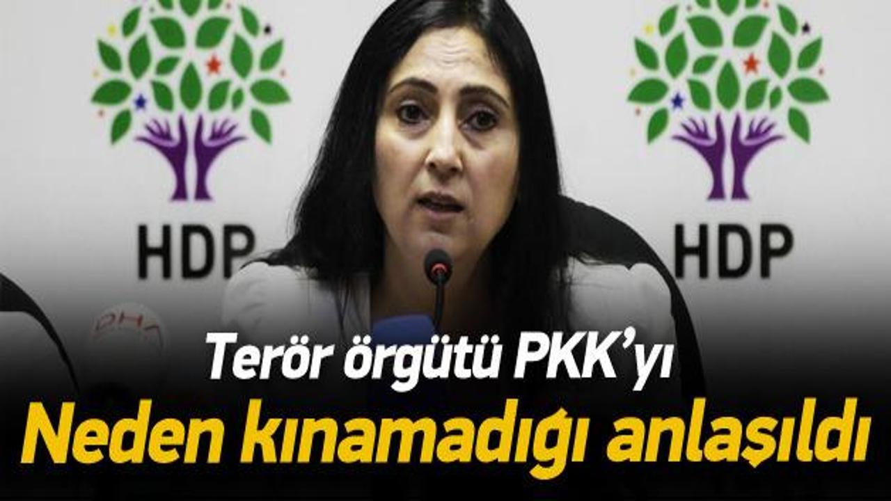 Figen Yüksekdağ'dan skandal açıklama