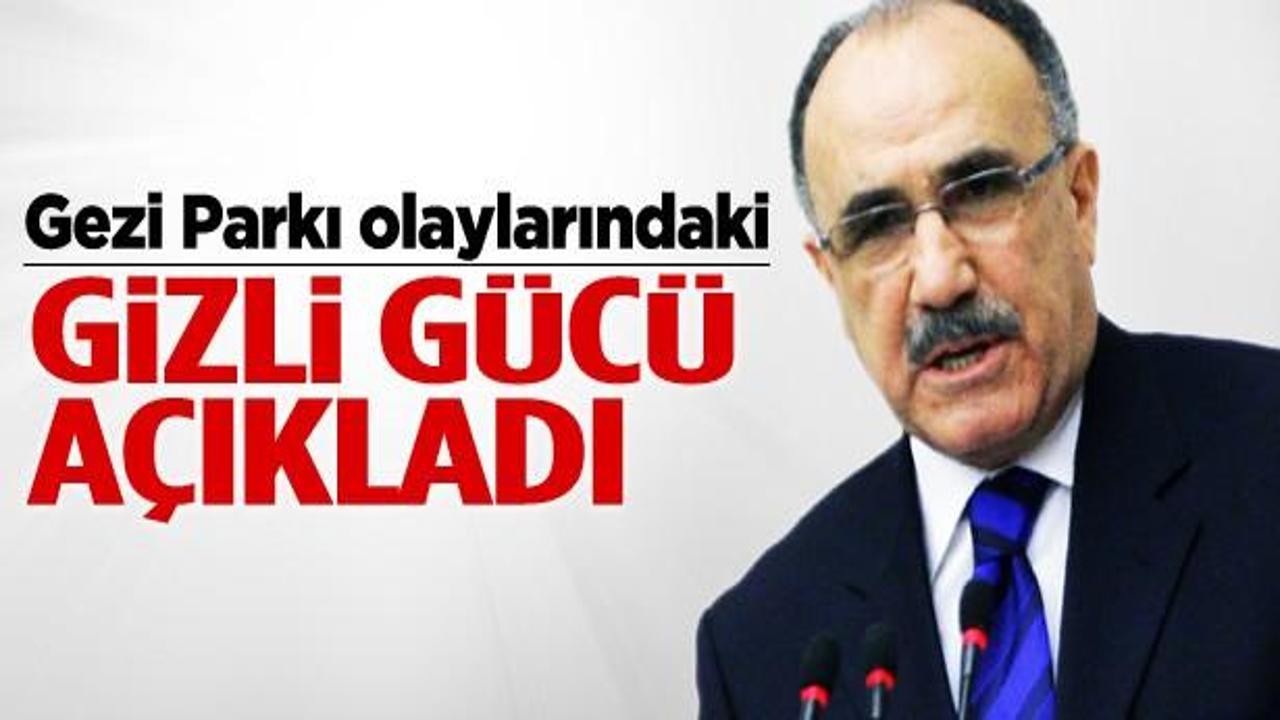 'Gezi olaylarını Yahudi diasporası tetikledi'