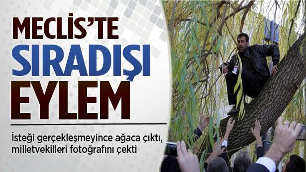 Hakan Şükür'ü bulamayınca Meclis'te ağaca çıktı