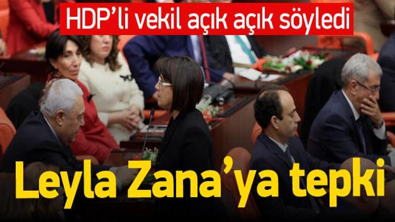 HDP'den Zana'ya tepki: Gündemi işgal etmemeli!