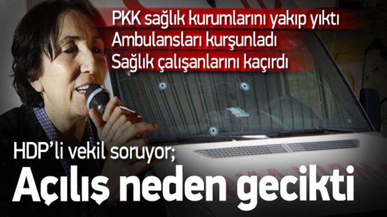 HDP'li Becerikli'den soru önergesi