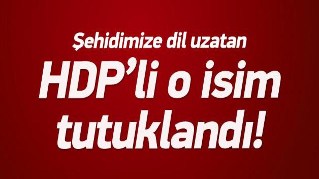 HDP'li Bercan Aktaş tutulandı