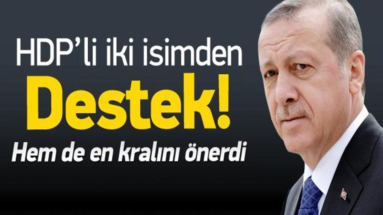 HDP'li iki isimden Erdoğan'a destek