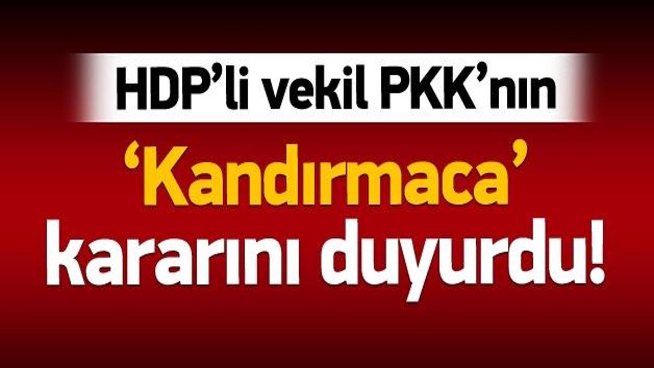 HDP'li vekil PKK'nın kararını duyurdu!