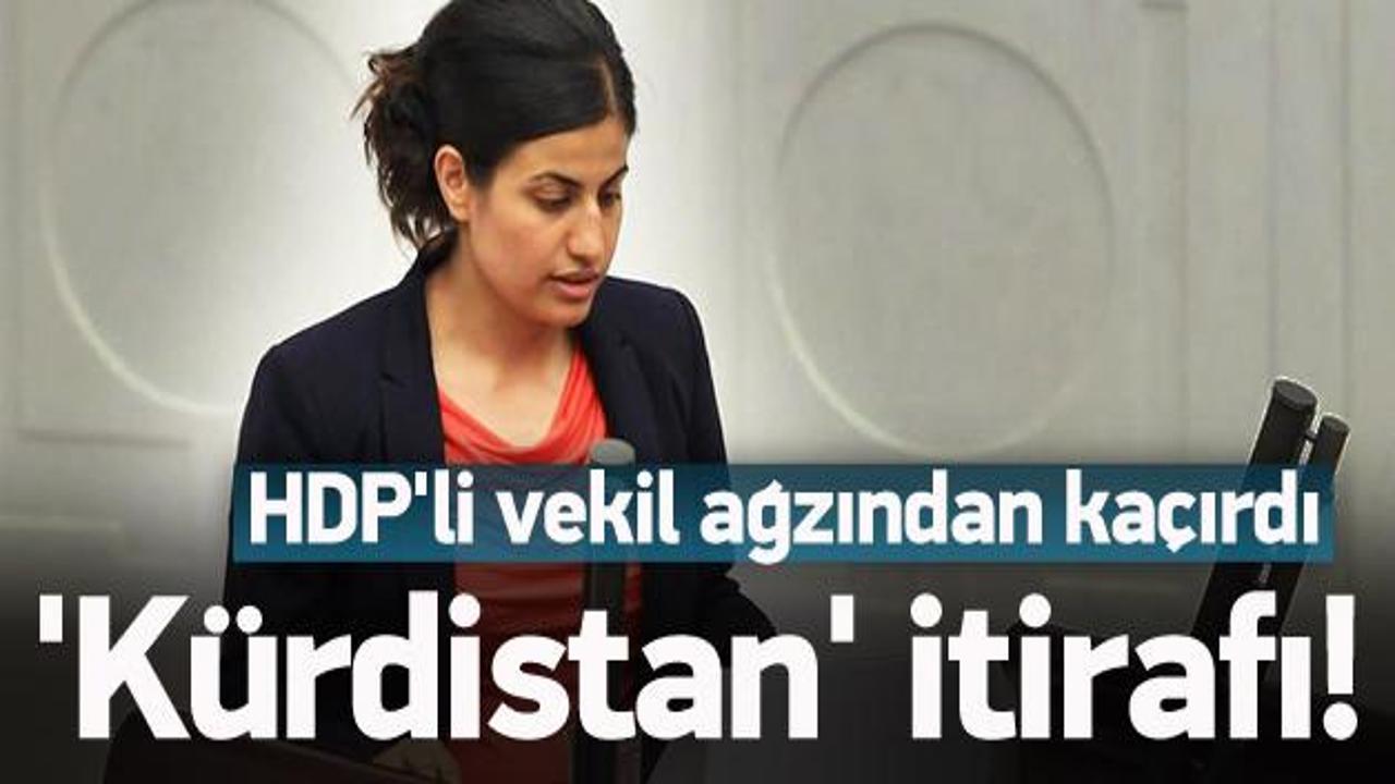 HDP'li vekilden 'Kürdistan' itirafı
