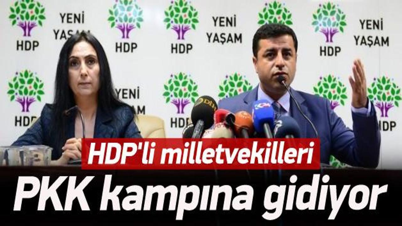 HDP'nin Zergele heyeti belli oldu