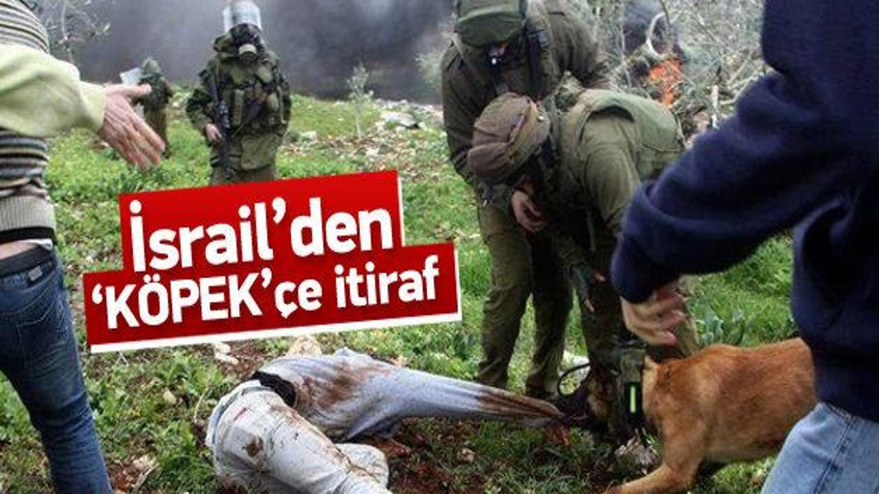 İsrail ordusundan köpek itirafı