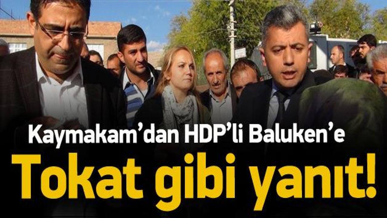 Kaykaman'dan HDP'li vekile tokat gibi cevap